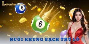 nuôi khung bạch thủ lô - Lô đề online
