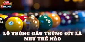 Lô Trùng Đầu Trùng Đít Là Như Thế Nào