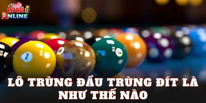 Lô Trùng Đầu Trùng Đít Là Như Thế Nào